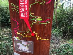 -梧桐山风景名胜区