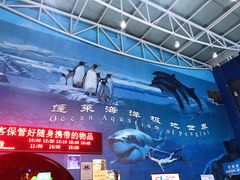 -蓬莱欧乐堡海洋极地世界
