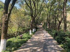 -宁波市保国寺古建筑博物馆