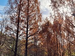 -国家植物园南园