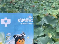 -杭州湖滨in77