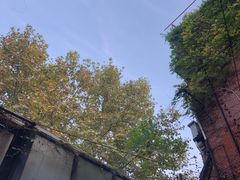 -古董花园(思南路42弄小区店)