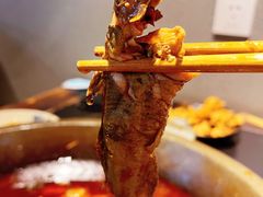 -石锅苗苗鱼(武汉首店)