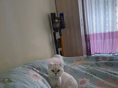 -美联众合24小时·皮肤科·外科·全科诊疗中心(华苑分院)