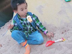 -季高兔窝窝亲子园(上海薰衣草公园店)