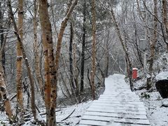 -白草畔自然风景区