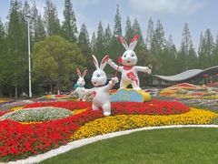 -东平国家森林公园