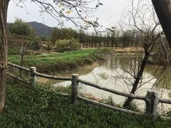 -天适樱花悠乐园