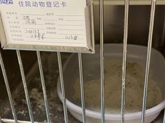 -萌兽医馆·犬猫专科·眼科中心·宠物医院(朝阳门分院)