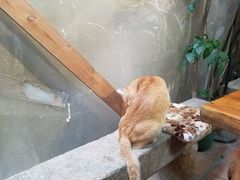 -老宅原住民沙茶面精品小吃(龙头路店)