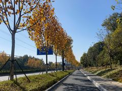 -杭州半山国家森林公园