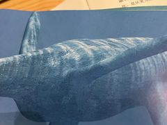 -浙江自然博物院(杭州馆)