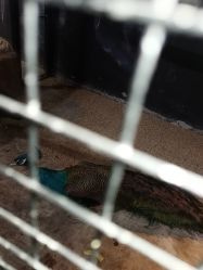 -酷嗒动物文化乐园(cutezoo西溪乐天城店)