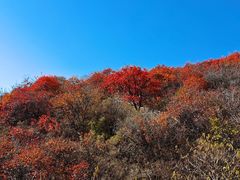 -鬼笑石后山停车场
