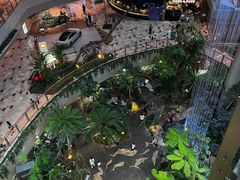 -二刀潮牛(重庆光环购物公园店)