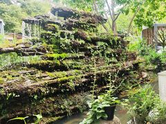 -凤来栖·净庭院·火锅(欧尚店)