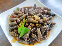 豉汁紫苏炒丁螺-美食店(华贵路店)