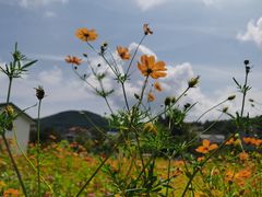 -乌石塘景区