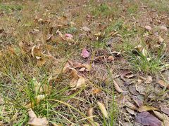 -华夏文旅西安度假区