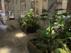 -浅深(北京北四环精品店)