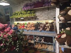 -济州岛泰迪熊博物馆