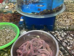 -张树军海鲜(王府壹号店)