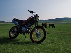-乌兰布统草原