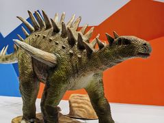 -国家自然博物馆