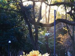 -上海市龙华烈士陵园