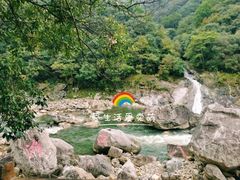 -燕子河大峡谷天坑仙境
