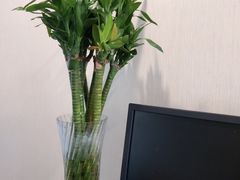 -河北盛世之星奔驰4S店(赵佗公园店)