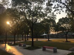 -新江湾城公园