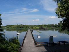 -溱湖国家湿地公园