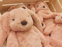 -TOYSRUS玩具反斗城(合肥华润万象城店)