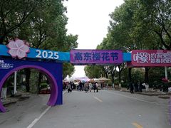 -高东镇樱花园
