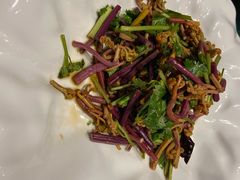 香麻野蕨菜-九十九顶毡房(阜石路店)