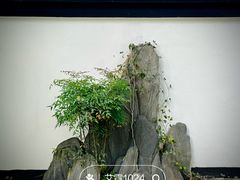-浮庄