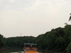 -大湾区中央湿地公园