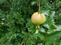 景点-汉长安城未央宫国家考古遗址公园