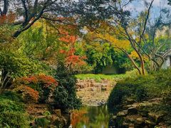 -上海醉白池公园