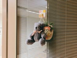 -杭州贝瑞斯美华国际月子中心