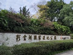 -重庆彩云湖湿地公园