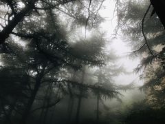 -崂山巨峰游览区