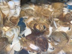 -仙螺岛海鲜自助餐厅(总店)