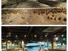 -元代水闸遗址博物馆