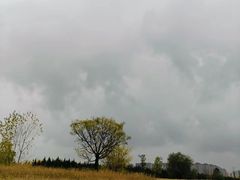 -汉长安城未央宫国家考古遗址公园