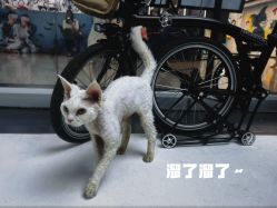 -熙.Hair 丨专注女子中长发丨