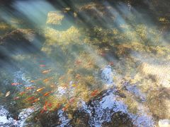 -昆明青龙峡风景区