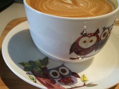 -sugarman espresso素饮糖人高新咖啡工厂