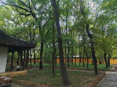 -西园戒幢律寺